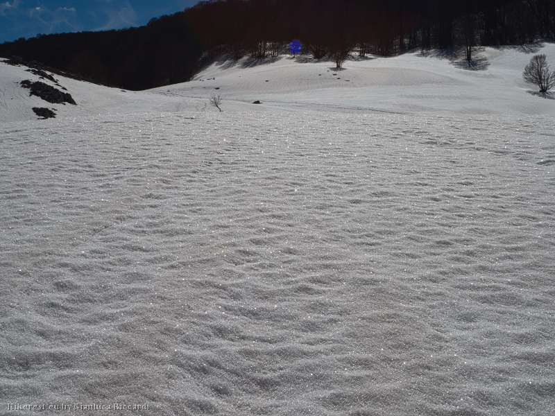 Bright the sparkling snow layer, melting toward the lake basin.