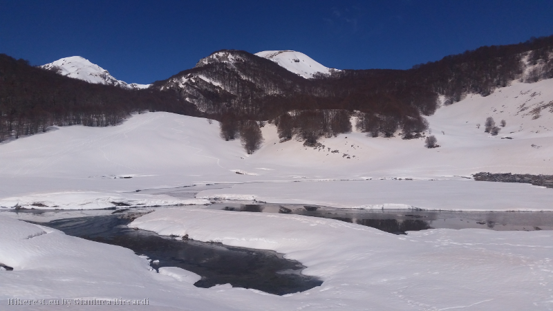 The basin being fed up by the snow floods dense of rich matter streams from the sorrounding woods.