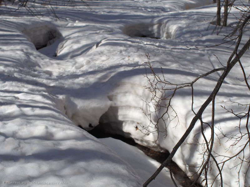 Snow top level to the ground on K4 path, melting is visible.